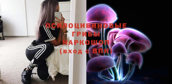 спайс Алексеевка